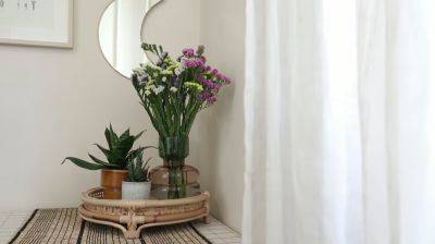 Сделайте в спальне себе целый стеллаж: какие комнатные растения способствуют легкому засыпанию