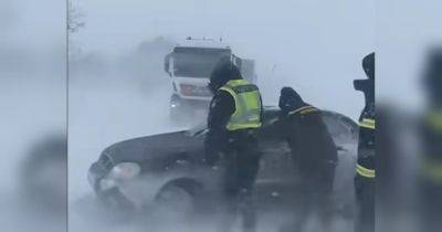 Одесскую область засыпало снегом: на каких трассах ограничено движение транспорта (видео)