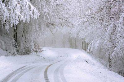 Погода в Украине – где будут снегопады и штормовой ветер - прогноз Натальи Диденко на 26-27 ноября