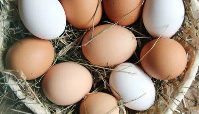 Что будет с ценами на яйца, мясо и крупы: украинцам рассказали, к чему нужно готовиться