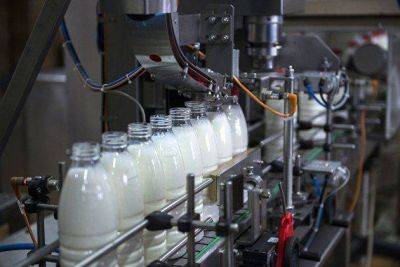 Минсельхоз сообщил о снижении цен на молоко у производителей на четыре процента