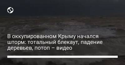 В оккупированном Крыму начался шторм: тотальный блекаут, падение деревьев, потоп – видео