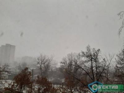 Буря добралась до Харькова: погода ухудшается (видео)