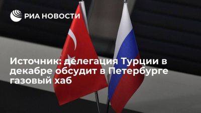 Делегация Турции в декабре посетит Петербург для обсуждения газового хаба