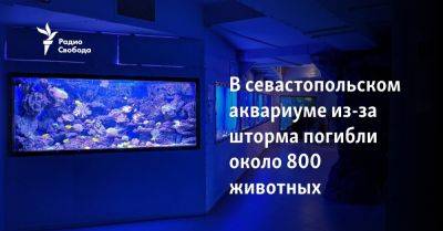 В севастопольском аквариуме из-за шторма погибли около 800 животных