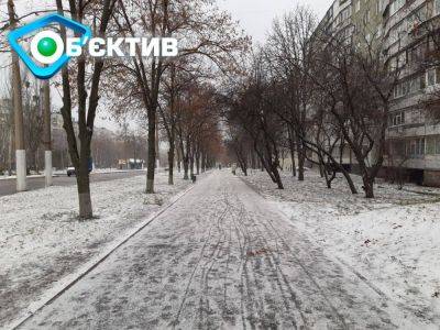Снег и ветер: что происходит на улицах Харькова (фото, видео)