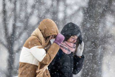 Метели и ураган: украинцев предупредили о чрезвычайных погодных условиях