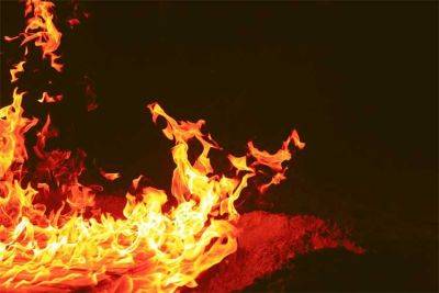 В частных секторах Луганщины выросло количество пожаров: Власенко назвал причину