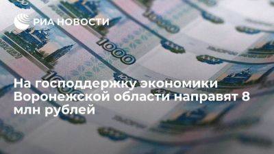 На господдержку экономики Воронежской области направят 8 млн рублей в 2024 году