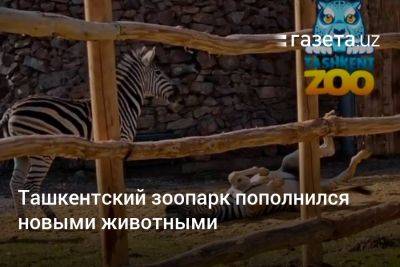Ташкентский зоопарк пополнился новыми животными