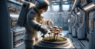 Спасительные звездные грибы: дефицит витамина D в космосе решат необычным способом