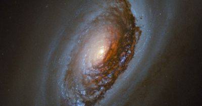 Телескоп Хаббл сделал снимок уникальной галактики "Черный глаз": в чем ее особенность (фото)