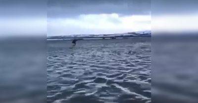 Ушел под воду: в РФ на Камчатке затопило стратегический военный объект (фото, видео)