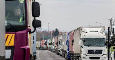 Польша обратилась к Украине с требованием от перевозчиков