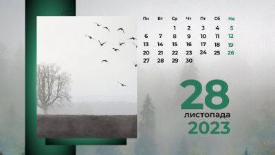 28 ноября: какой сегодня день и праздник | Новости Одессы