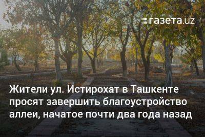 Жители ул. Истирохат в Ташкенте просят завершить благоустройство аллеи, начатое почти два года назад