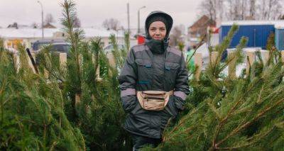 За один метр будете платить 135 гривен: цены на елки в Украине — сколько будет стоить новогоднее настроение - cxid.info - Украина