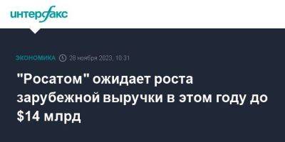 "Росатом" ожидает роста зарубежной выручки в этом году до $14 млрд