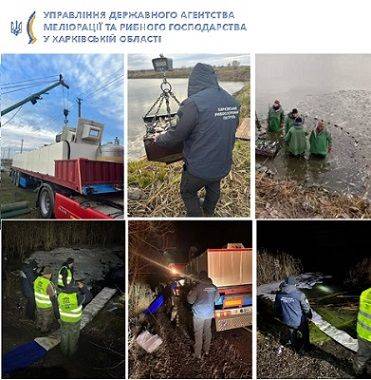 Толстолобик, амур и карп. 14 тонн рыбы выпустили в водохранилище Харьковщины