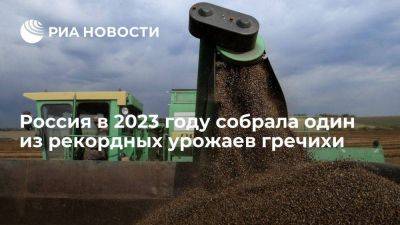 Патрушев: Россия в 2023 году собрала 1,6 миллиона тонн гречихи