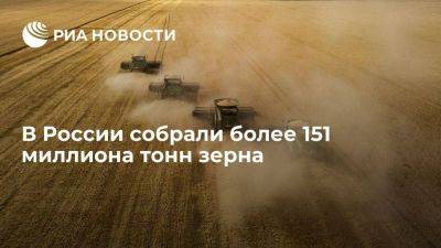Патрушев: в России собрали более 151 миллиона тонн зерна с 98 процентов площадей