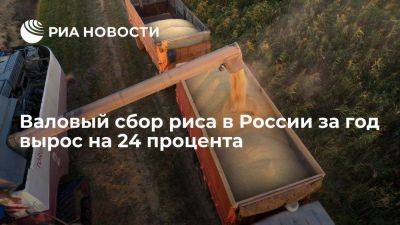 Дмитрий Патрушев - Патрушев: Россия в 2023 году собрала более 1,1 миллиона тонн риса - smartmoney.one - Россия