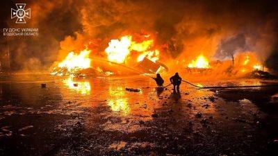 Ущерб окружающей среде Украины в результате российской войны – беспрецедентный и глобальный