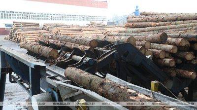 Более 60% древесины лесхозы заготавливают механизированным способом