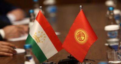 Кабмин Кыргызстана: «Вопросы делимитации и демаркации границы вышли на уровень дипломатического решения»