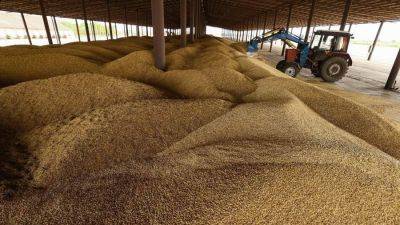 Запас для прочности: в кабмине рассматривают запрет на экспорт зерновых