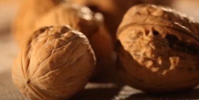 Начнут горчить и быстро гнить: как нужно хранить грецкие орехи, чтобы они долго не портились - hyser.com.ua - Украина