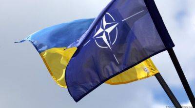 США и Германия по-прежнему против быстрого вступление Украины в НАТО – СМИ