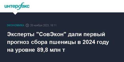 Андрей Сизов - Эксперты "СовЭкон" дали первый прогноз сбора пшеницы в 2024 году на уровне 89,8 млн т - smartmoney.one - Москва - Россия