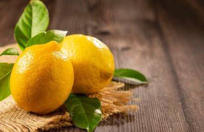 Результат вас точно удивит: для чего лимон сразу после покупки нужно протереть подсолнечным маслом - hyser.com.ua - Украина