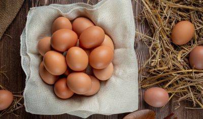 Чтобы не обманули на рынке: как определить свежие яйца, не отходя от прилавка. Простая хитрость
