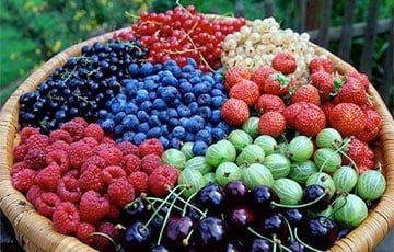 Диетолог назвала зимнюю ягоду, которая улучшает состояние сосудов и обогащает витаминами - charter97.org - Белоруссия