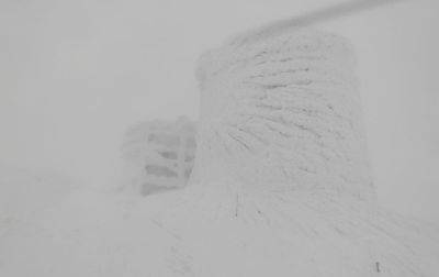 В Карпатах насыпало до 70 см снега - korrespondent - Украина - Крым