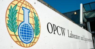 Хуже Ирана: Россию не избрали в Совет Организации по запрету химоружия