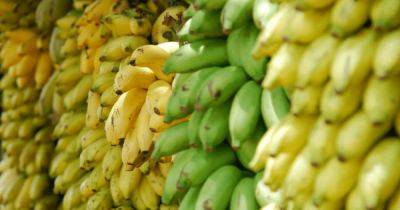 Зеленые или желтые. Какие бананы помогут улучшить метаболизм и похудеть