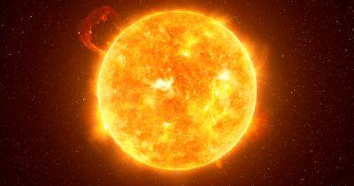Ученые выяснили, когда наступит пик активности Солнца: чем это грозит Земле - focus.ua - Украина