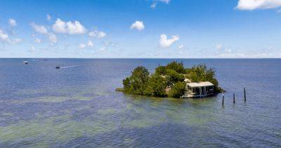 Мечта может стать реальностью: частный остров продают всего за 2,5 млн долларов (видео)