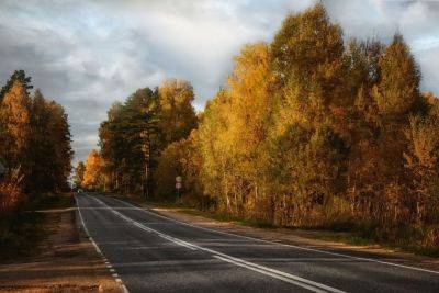 На скоростных дорогах Литвы снижается максимально допустимый предел скорости