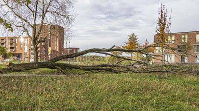 В Бельгии из-за мощного шторма погиб 5-летний украинский мальчик