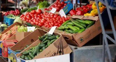 Прежних цен больше нет: в Украине подешевел самый ходовой овощ - cxid.info - Украина - Турция - Румыния