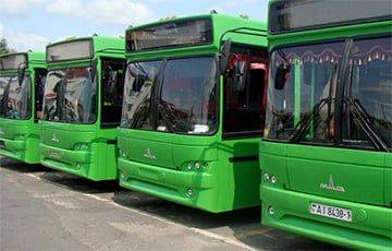 В Витебске отменили десятки рейсов пригородных автобусов