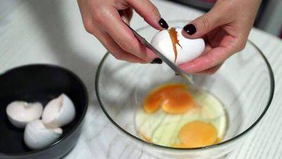 Минсельхоз предложил ввести запрет на экспорт мяса птицы и яиц с 1 декабря