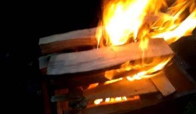 Секретный трюк: как разжечь сырые дрова за считанные секунды
