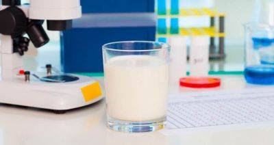 Молочные токи: концентрацию антибиотиков в продуктах определит ИИ - produkt.by - Белоруссия