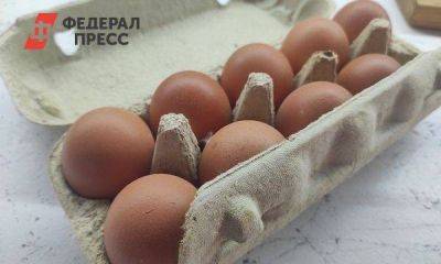 Десяток яиц в Свердловской области подорожал до ста рублей