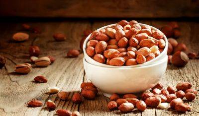 Немного погрызли, а словно бифштекс съели: какие орехи содержат рекордное количество белка